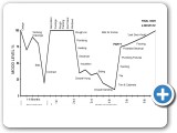 The Homeowners Emotional Roller Coaster